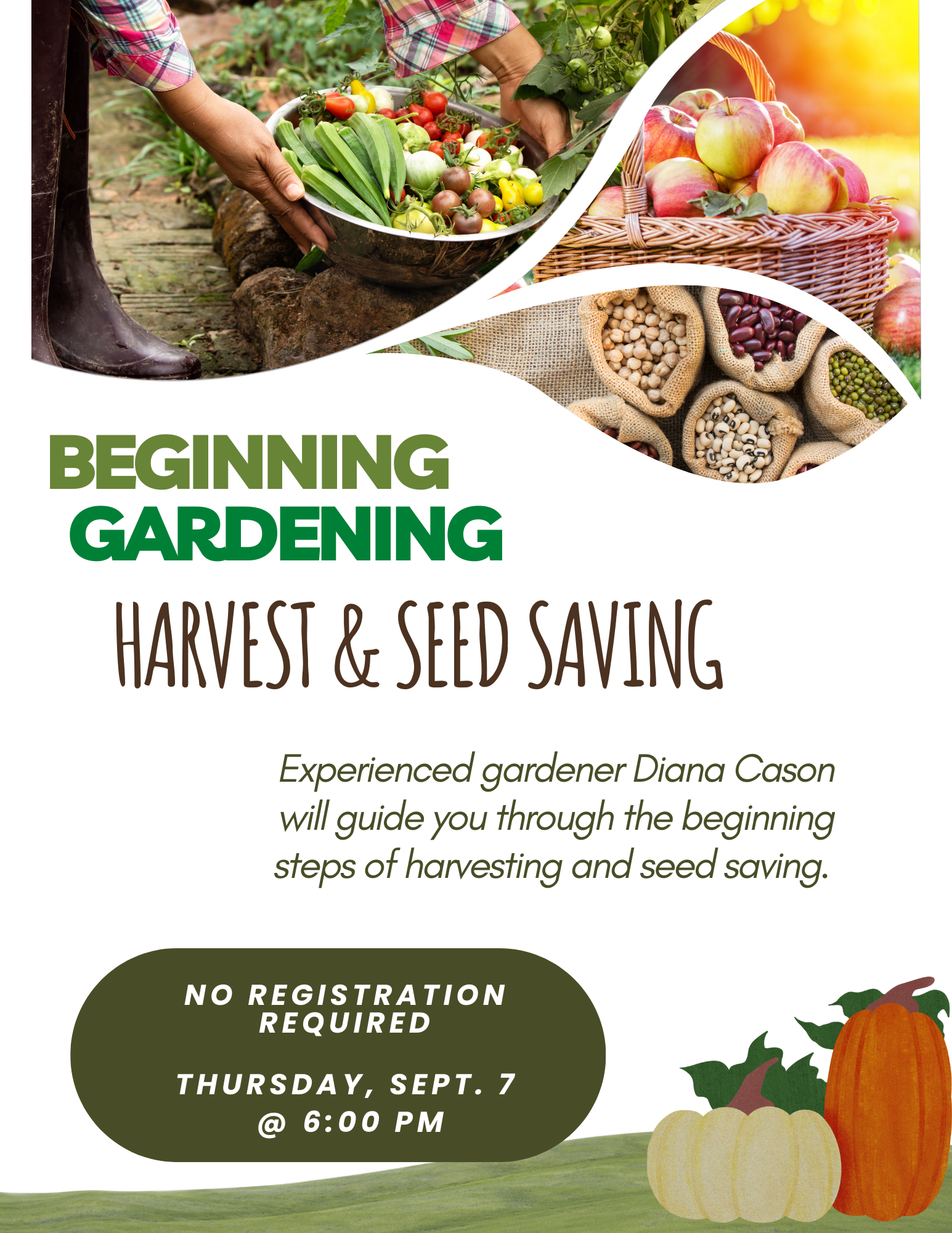 BG seed saving Flyer 7